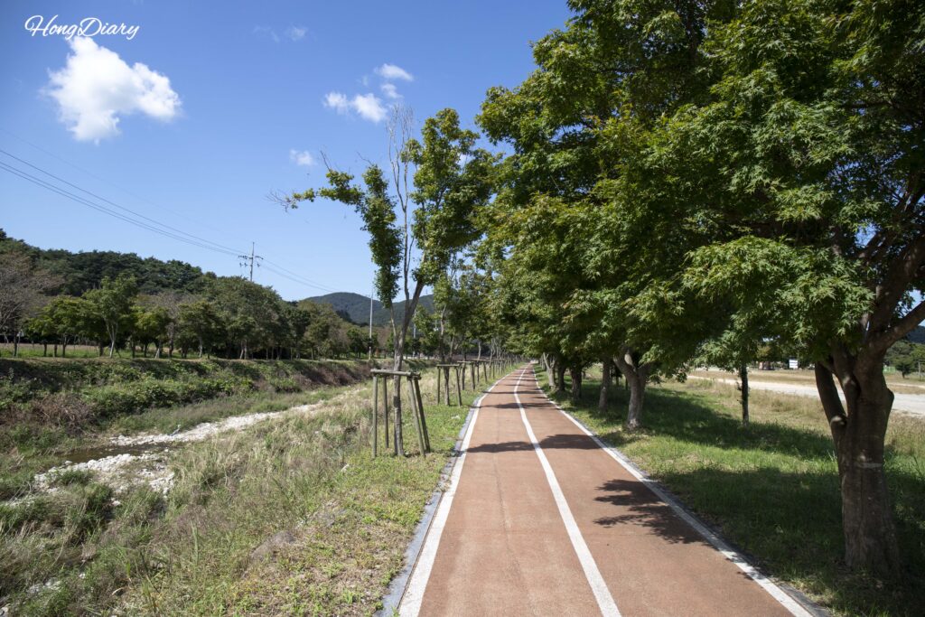 Walking path near Naejangsan National Park in Jeongeup on the way to Naejangsan Arboretum in early autumn