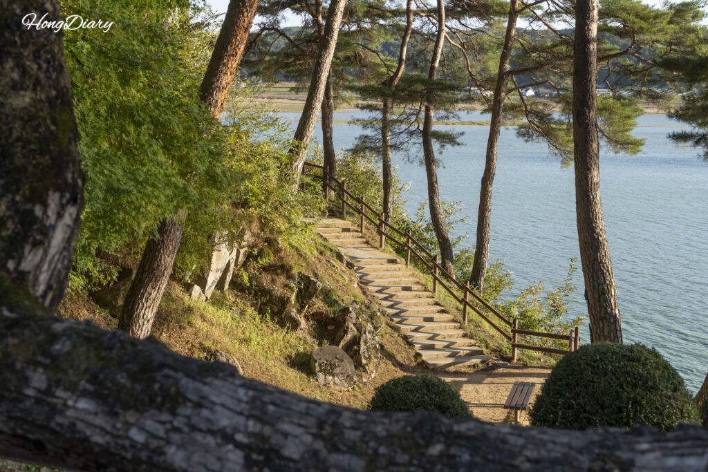 Trees and the Nakdong River seen from the walking path to Dosan Seowon in Andong