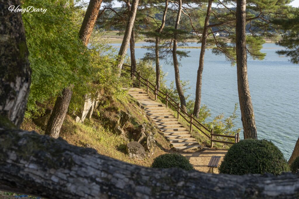 Árboles y el río Nakdong vistos desde el sendero hacia Dosan Seowon, Andong