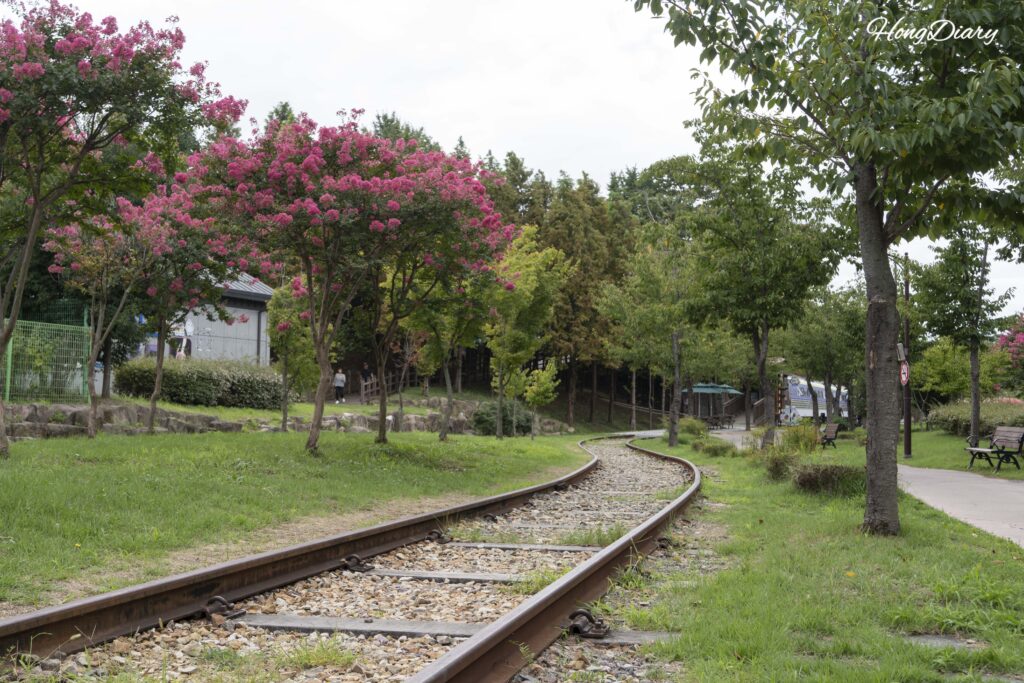 Vías de tren en desuso con árbol de crespón en flor en el Parque Histórico de Jinyeong, Gimhae