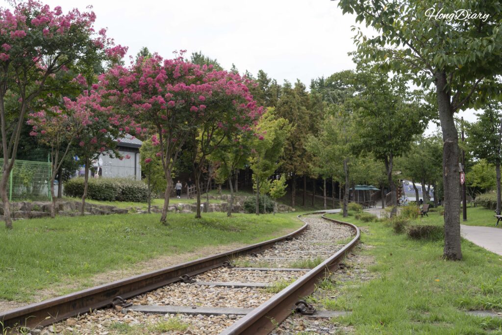 晋永歴史公園に残る旧線路とサルスベリの花