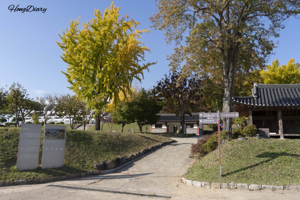Exterior del Centro de Experiencia Virtual de Sabi con un ginkgo dorado y señalización hacia sitios patrimoniales en Buyeo
