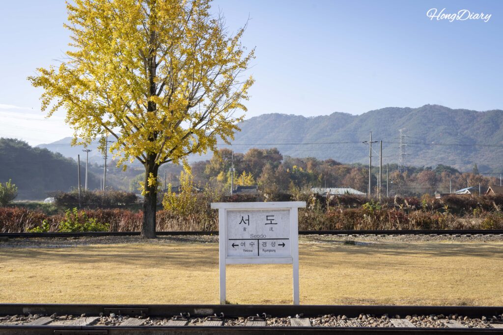 Golden ginkgo tree in autumn and a vintage station pamphlet at Seodo Station in Namwon