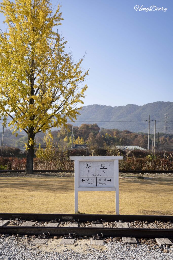 Árbol de ginkgo dorado en otoño y un viejo panfleto de la Estación Seodo en Namwon
