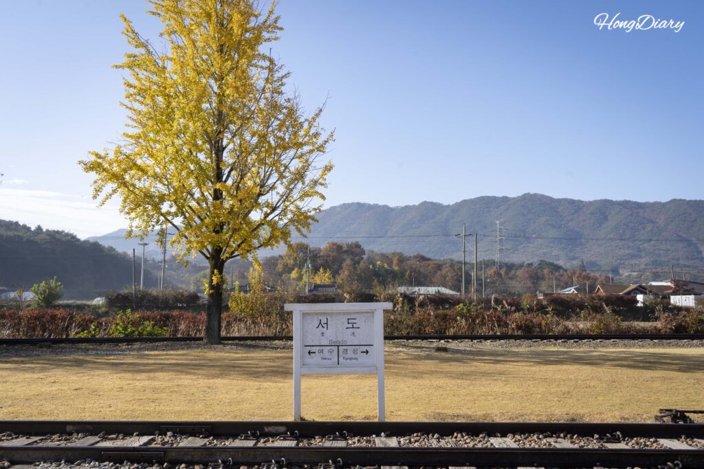 南原（ナムウォン）・西道（ソド）駅の秋の黄金色のイチョウとレトロな駅のパンフレット