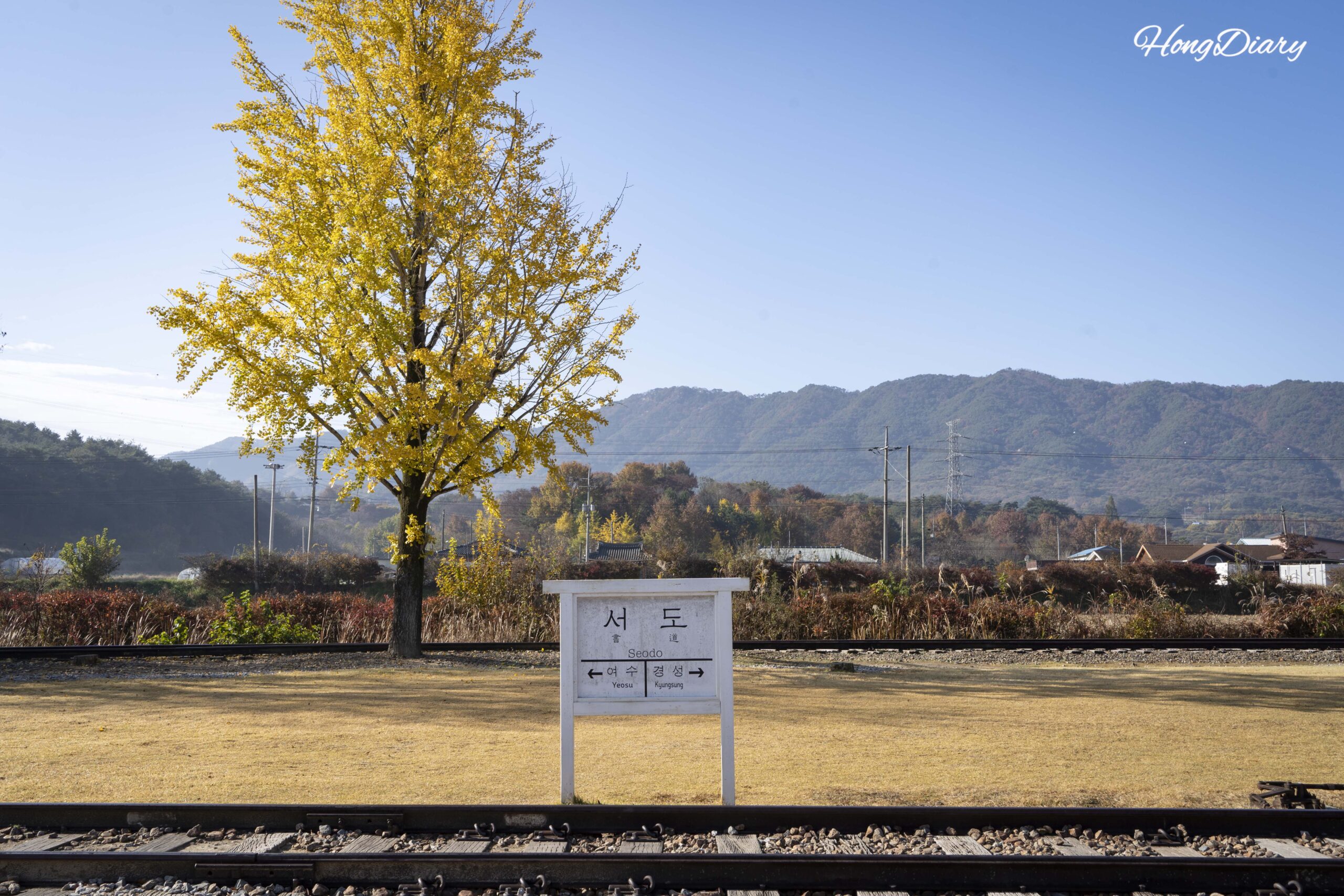 南原（ナムウォン）・西道（ソド）駅の秋の黄金色のイチョウとレトロな駅のパンフレット