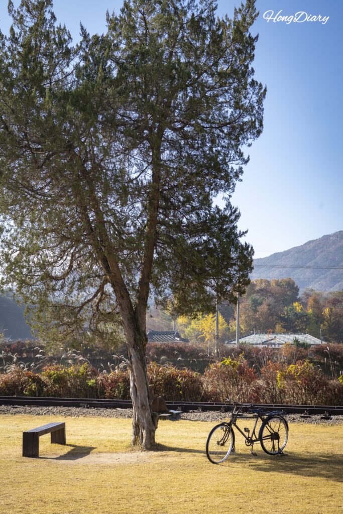 A weathered wooden chair and old bicycle beneath autumn trees at Seodo Station in Namwon, South Korea