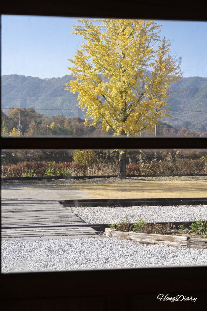Vista de un ginkgo dorado en otoño a través de la ventana de madera de la Estación Seodo en Namwon