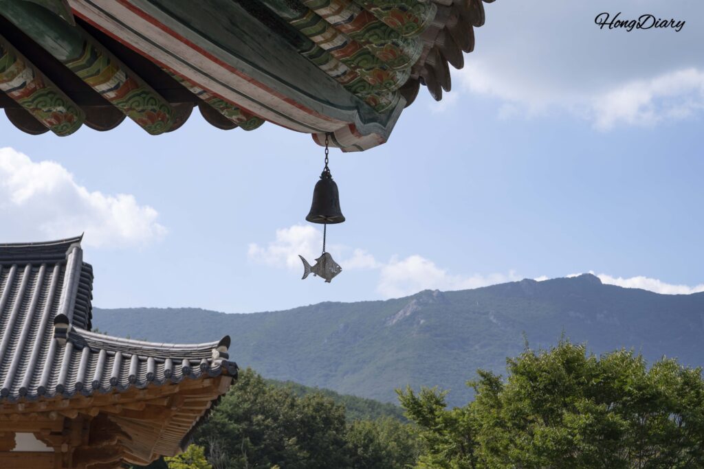Traditional iron wind chime (punggyeong) shaped like a fish hanging from the temple eaves at Seounam Hermitage