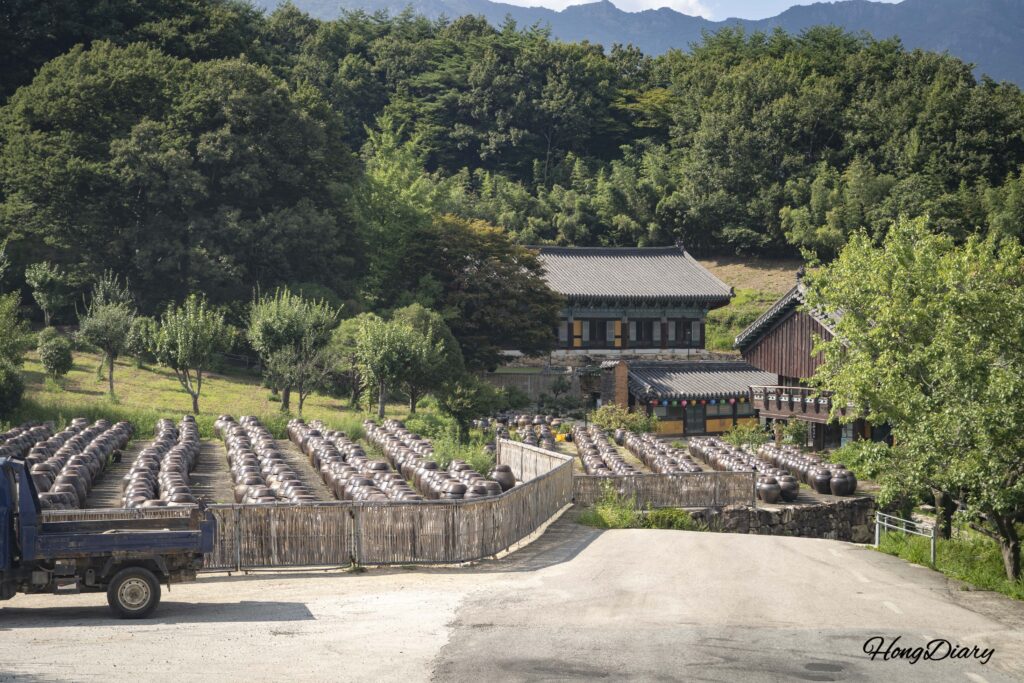 Rows of traditional Korean clay fermentation pots (jangdokdae) lining the path to Seounam Hermitage at Tongdosa Temple in Yangsan