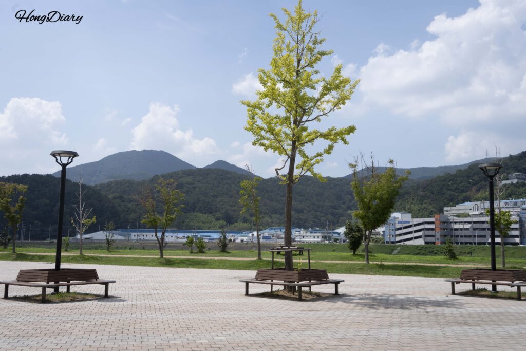 双碧楼アートホールを出た先に広がる梁山川沿いの風景とベンチ