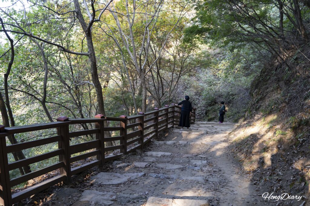 Tree-lined forest path leading to Nakhwaam Rock inside Busosanseong Fortress in Buyeo
