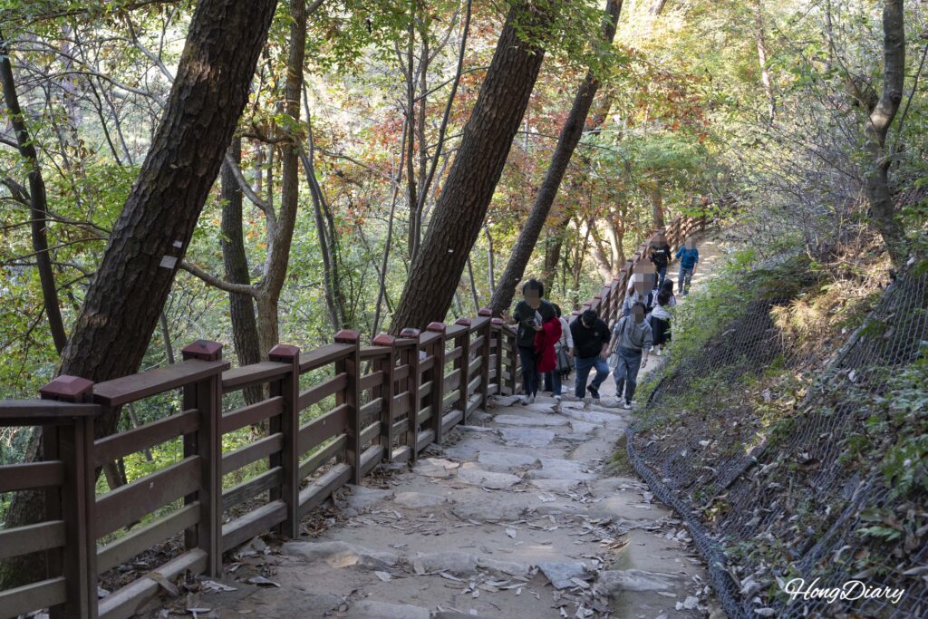Sendero cubierto de hojas entre árboles que lleva a la Roca Nakhwaam dentro de la Fortaleza Busosanseong en Buyeo