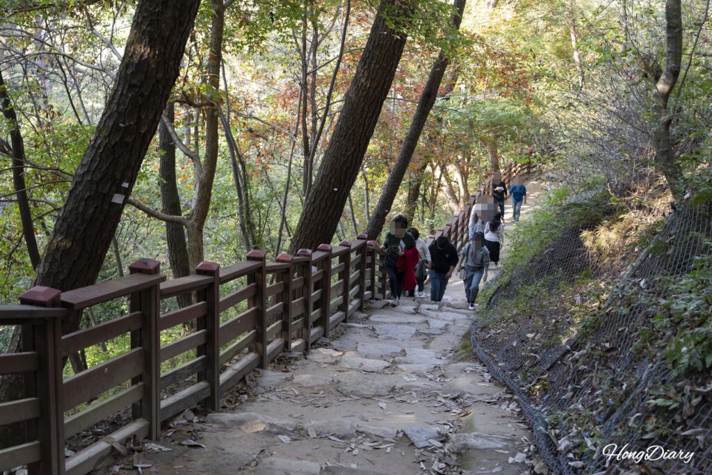 扶余・扶蘇山城の落花岩へ続く落ち葉の森の道