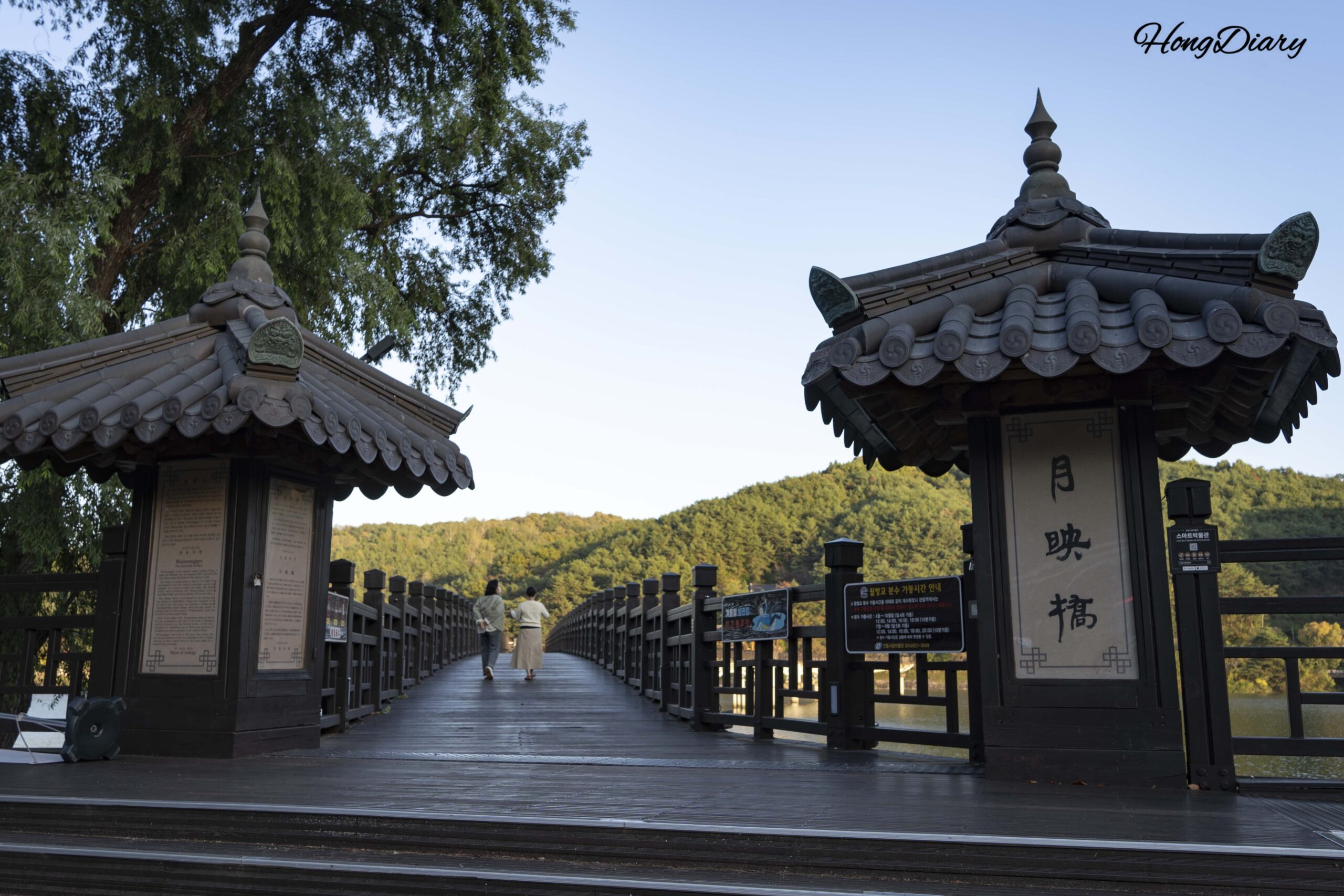 Woryeonggyo Bridge at Sunset — Korea’s Longest Wooden Bridge, a 16th-Century Love Story, and Dining on a “Fake Ritual Feast” in Andong