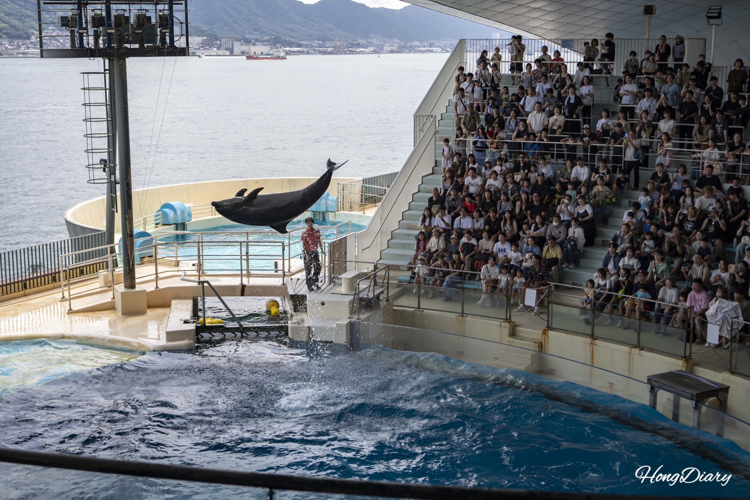 海響館の見どころを徹底解説｜韓国から下関に通う旅ライターが見つけた、多くの人が見落とすポイント