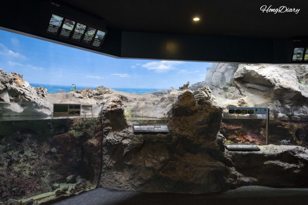 Exhibición del río de selva tropical en el Acuario Kaikyokan con plantas acuáticas, raíces y grandes peces de agua dulce