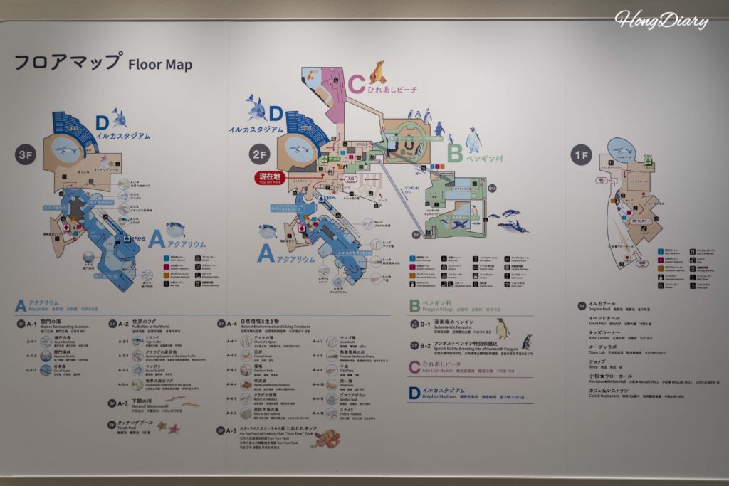 海響館の公式順路案内図。入口から各展示エリアを経て出口までの順路を表示
