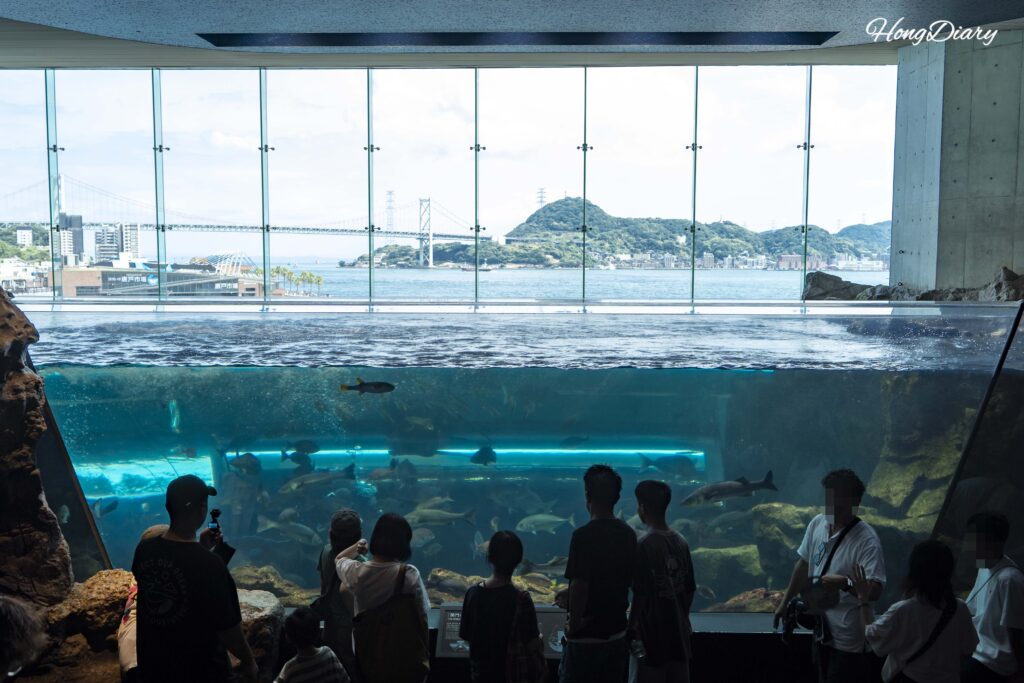 海響館の関門の海エリア。手前に海洋生物の水槽、奥のガラス窓越しに関門橋と関門海峡が見える