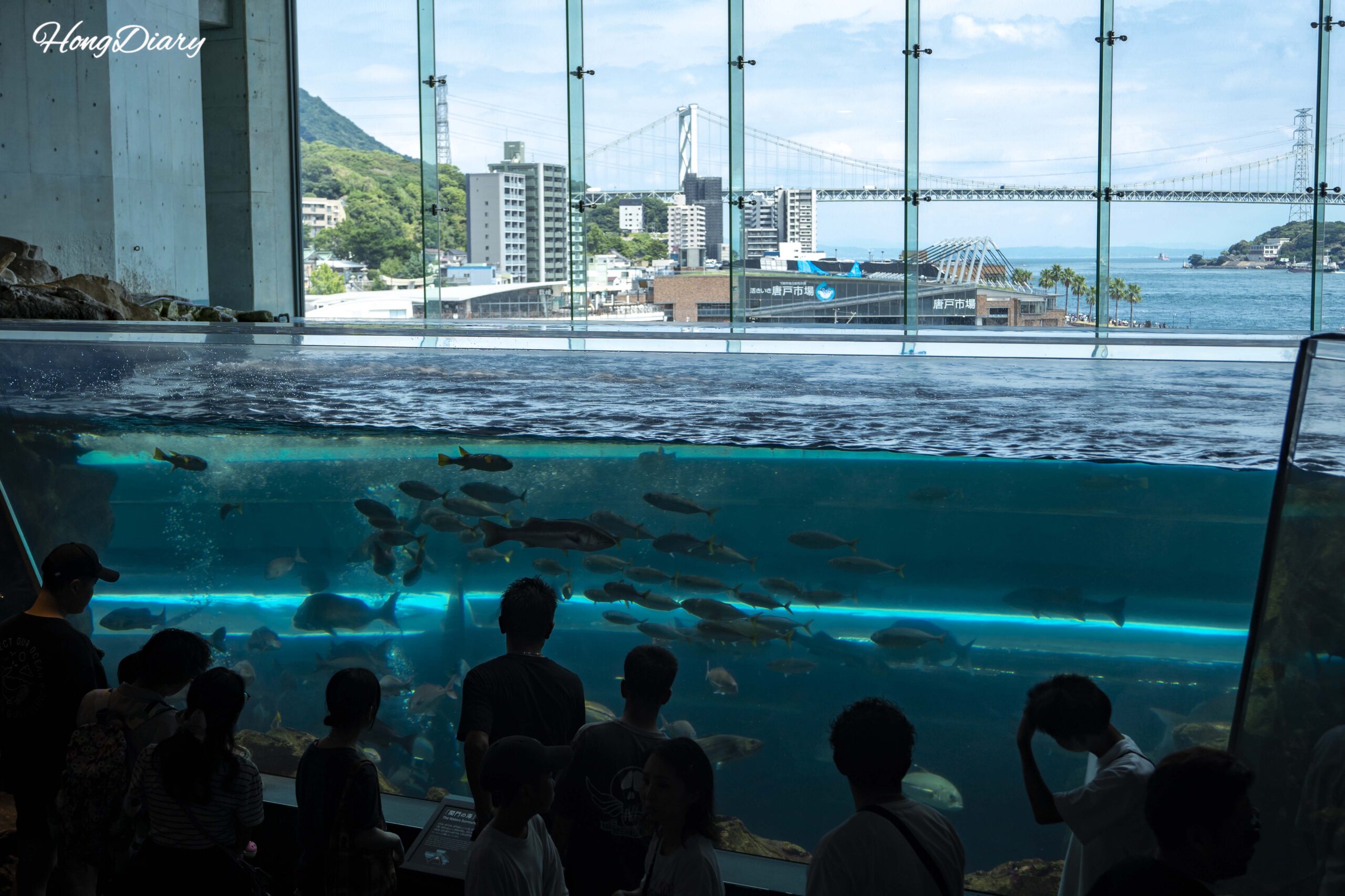 Acuario Kaikyokan en Shimonoseki — Lo que la mayoría de visitantes pasa por alto en la capital del pez globo de Japón