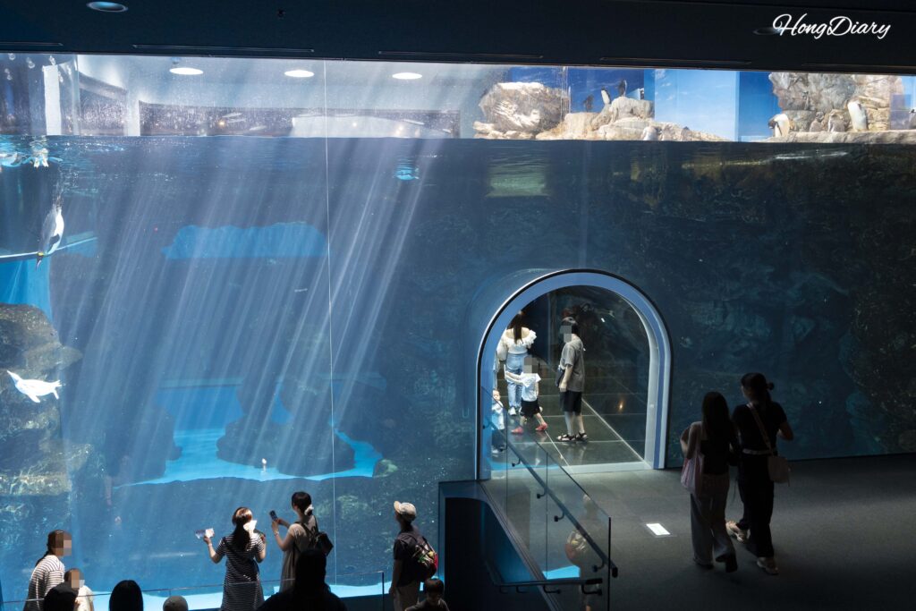 Visitors walking through the Kaikyokan Aquarium penguin underwater tunnel with penguins swimming overhead and sunlight filtering through the water
