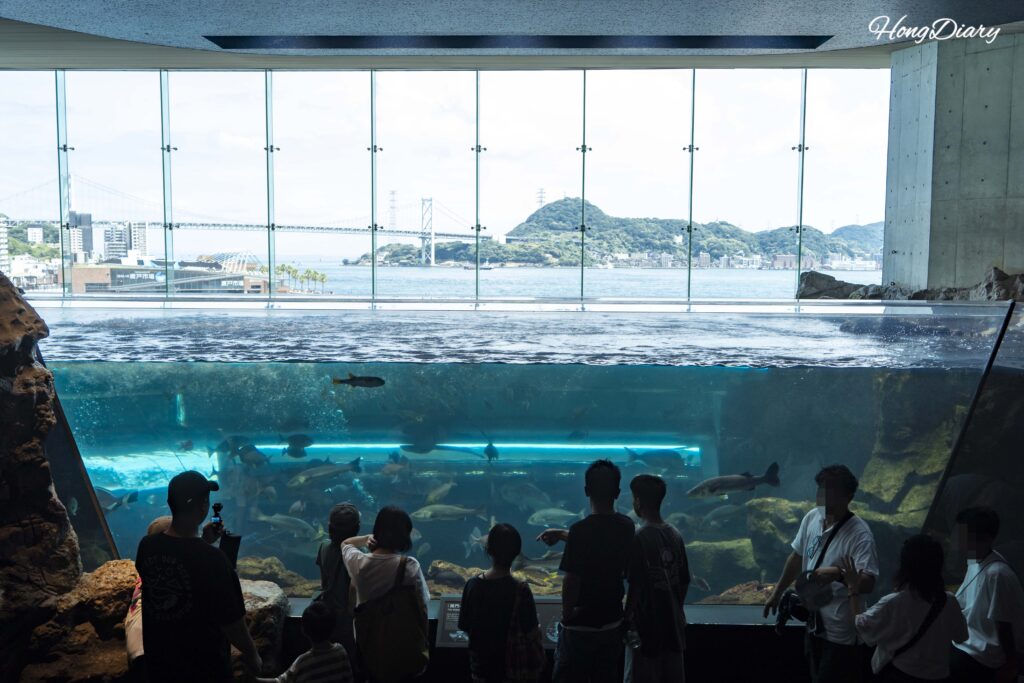 Kaikyokan Aquarium Sea of Kanmon exhibit showing a marine tank in the foreground with the Kanmon Bridge and strait visible through panoramic windows behind it