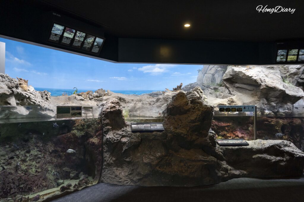 Tropical rainforest river exhibit at Kaikyokan Aquarium showing aquatic plants, driftwood, and large freshwater fish